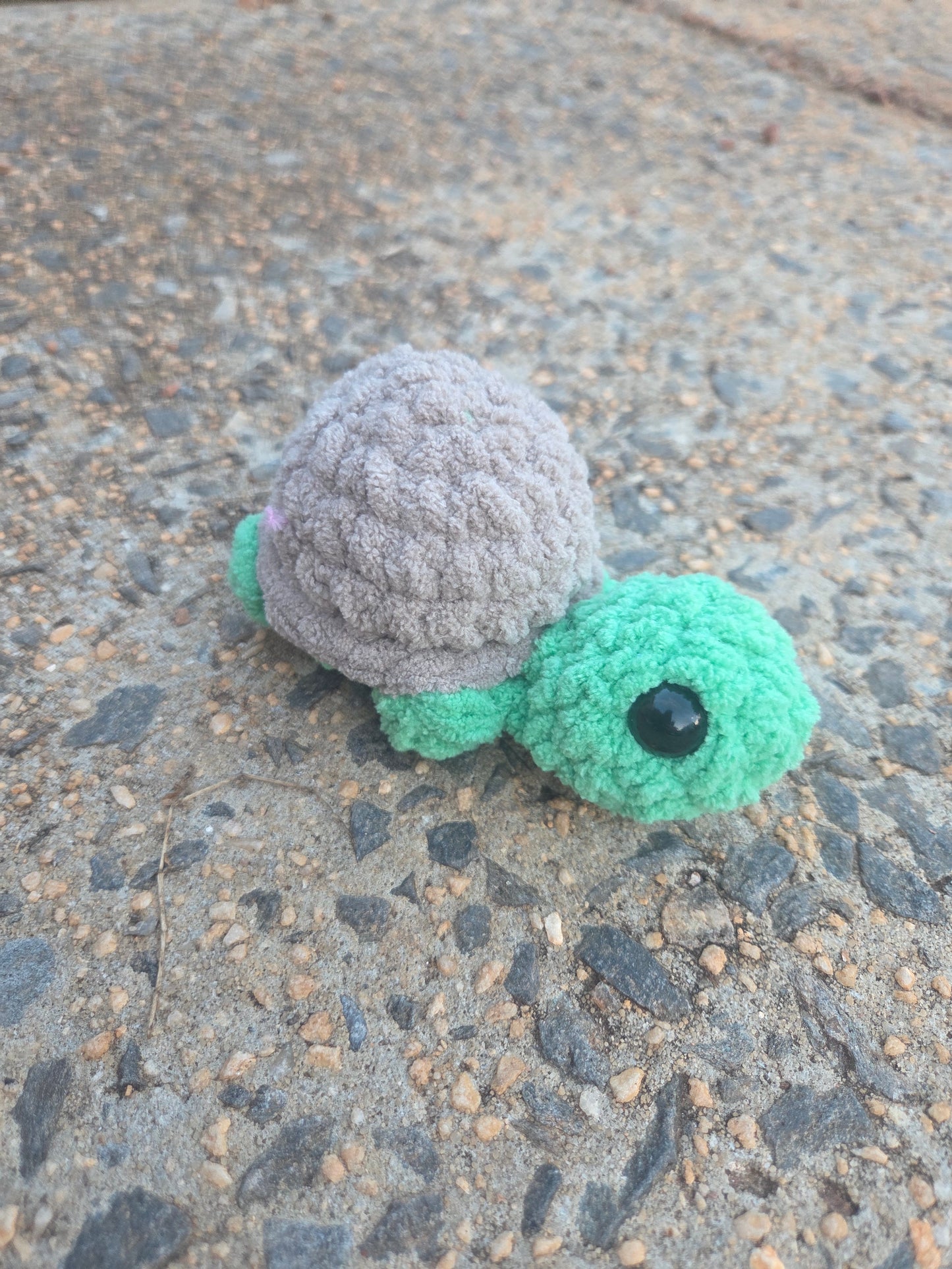 Crochet Turtle