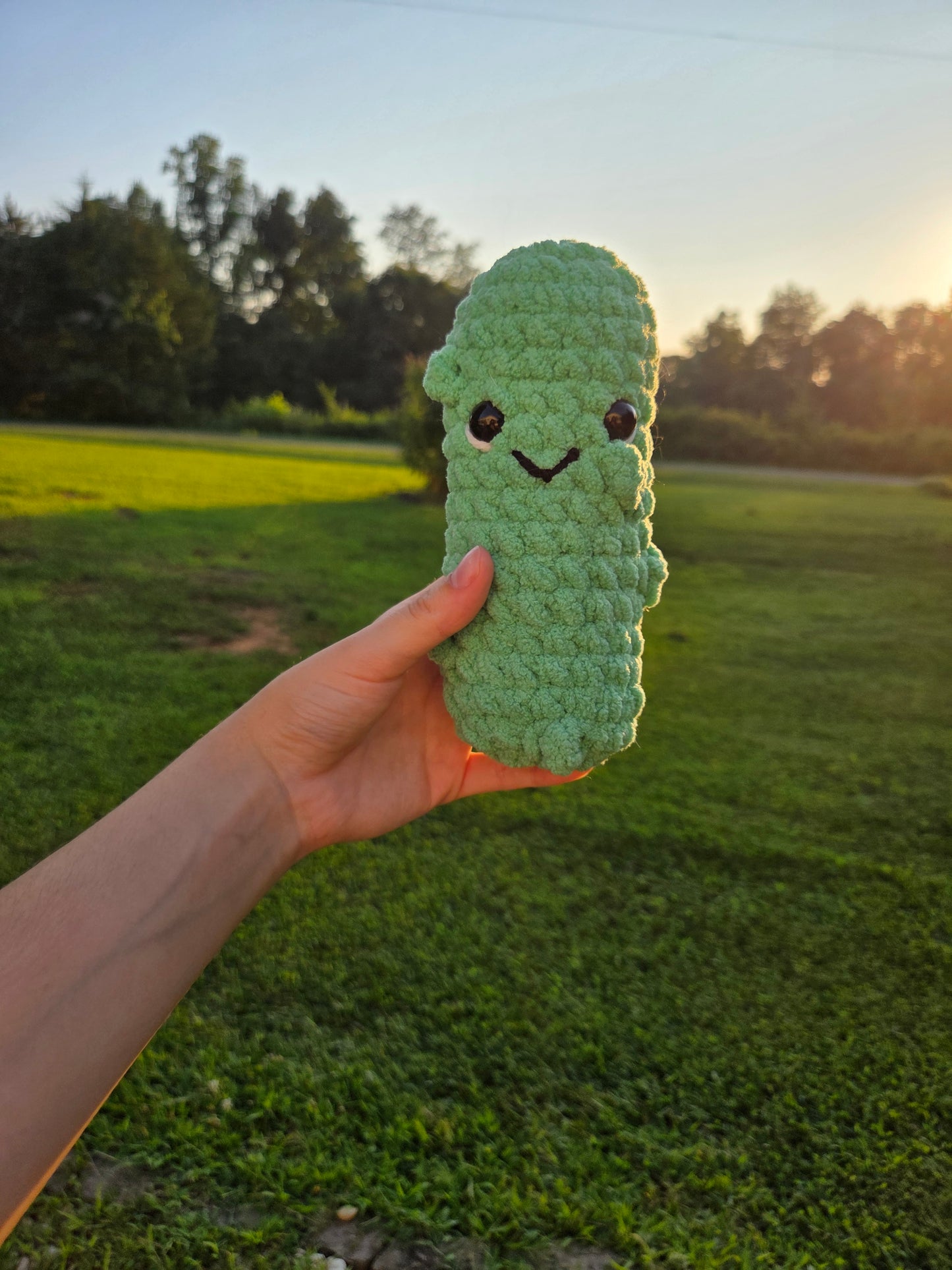 Crochet Pickle